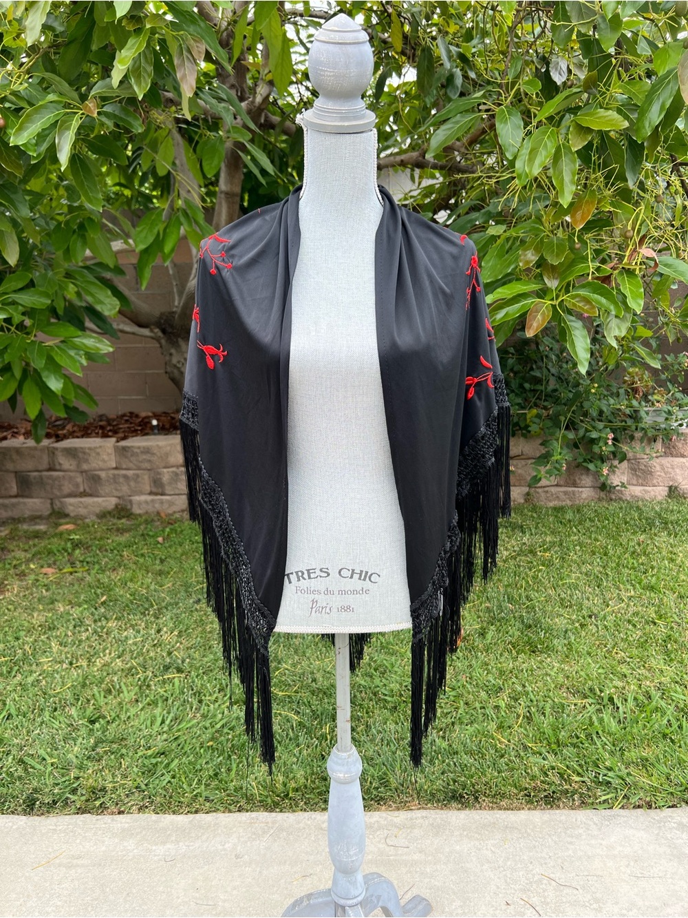 Black Fringe Shawl with Red Floral Embroidery